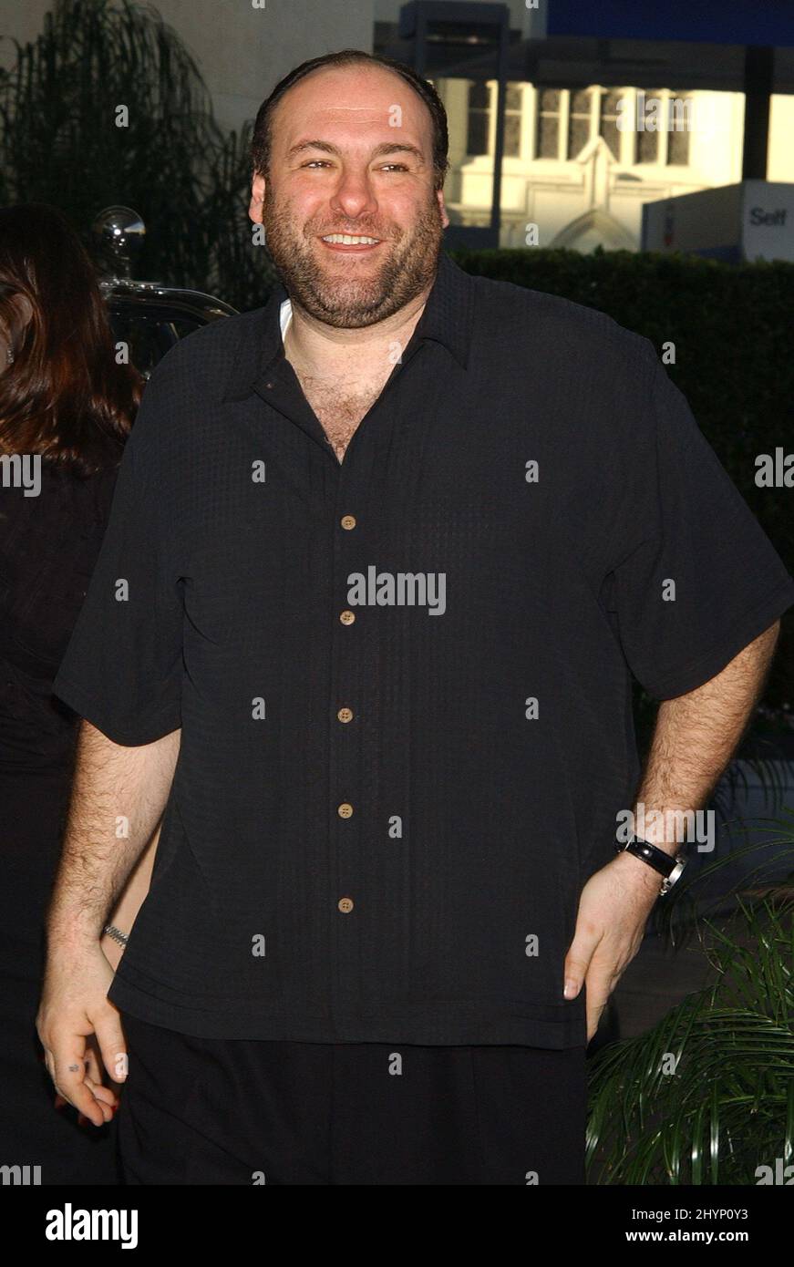 JAMES GANDOLFINI NIMMT AN DER „TCA CABLE WINTER PRESS TOUR“ IN HOLLYWOOD TEIL. BILD: BRITISCHE PRESSE Stockfoto