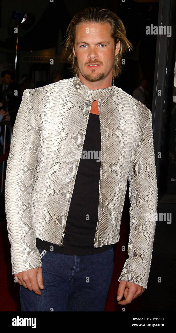 MATT SCHULZE NIMMT AN DER FILMPREMIERE „TORQUE“ IN KALIFORNIEN TEIL. BILD: BRITISCHE PRESSE Stockfoto