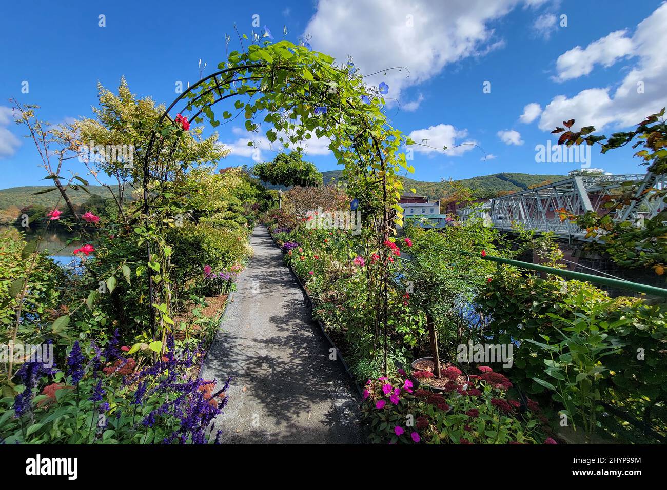 Die Bridge of Flowers überspannt den Deerfield River mit den sanften Hügeln des westlichen Massachusetts als Kulisse in Shelburne, MA im Herbst. Stockfoto