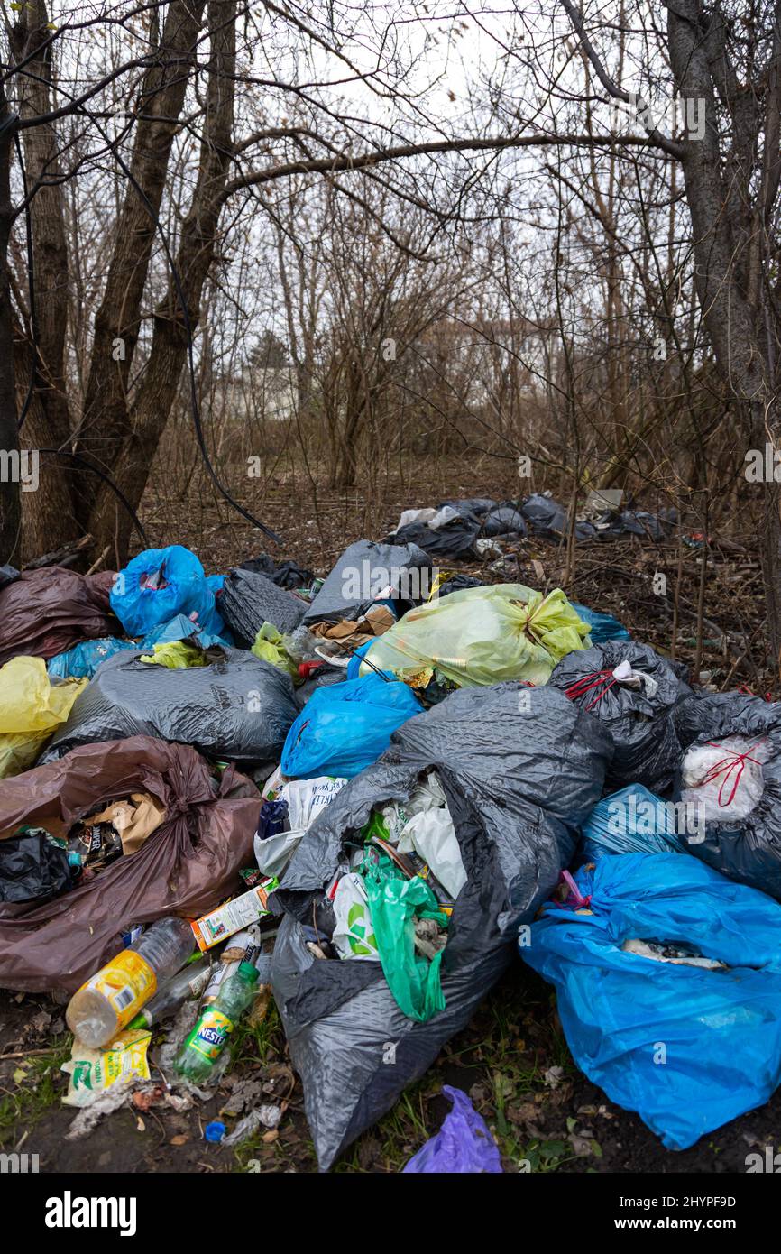 Illegale Müllhalde im Wald. Müll im Wald. Aufgenommen am bewölkten Tag, bei natürlichem Licht Stockfoto