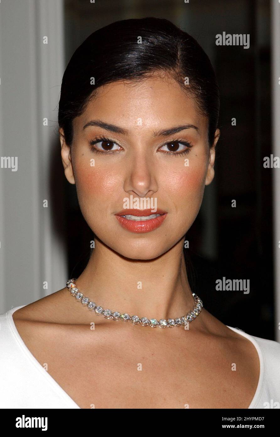 Red carpet roselyn sanchez Fotos und Bildmaterial in hoher Auflösung