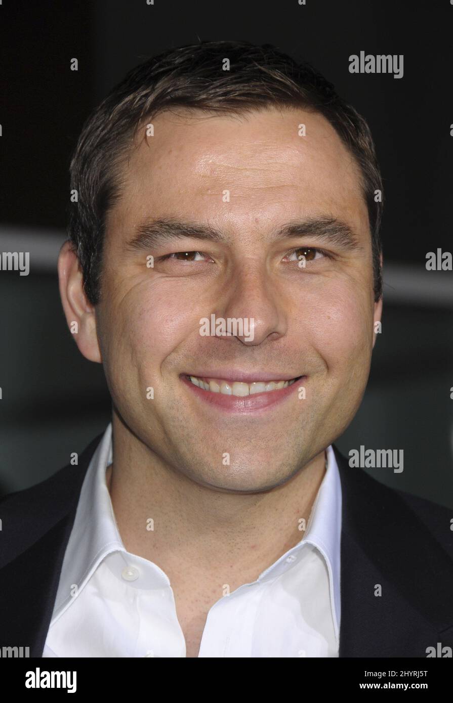 David Walliams bei der Premiere von „Run Fatboy Run“ in Los Angeles. Stockfoto