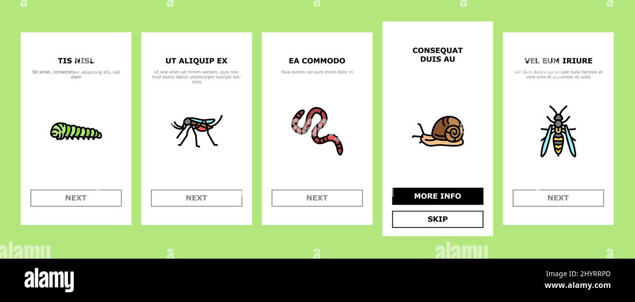 Insekten-, Spinnen- Und Bug-Wildlife Onboarding Icons Set Vector Stock Vektor