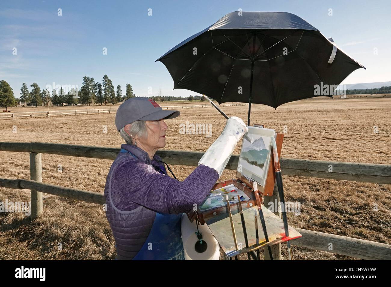Ein Plein-Luftmaler, der eine Landschaft im Zentrum von Oregon der Cascade Mountains malte, Sisters, Oregon Stockfoto