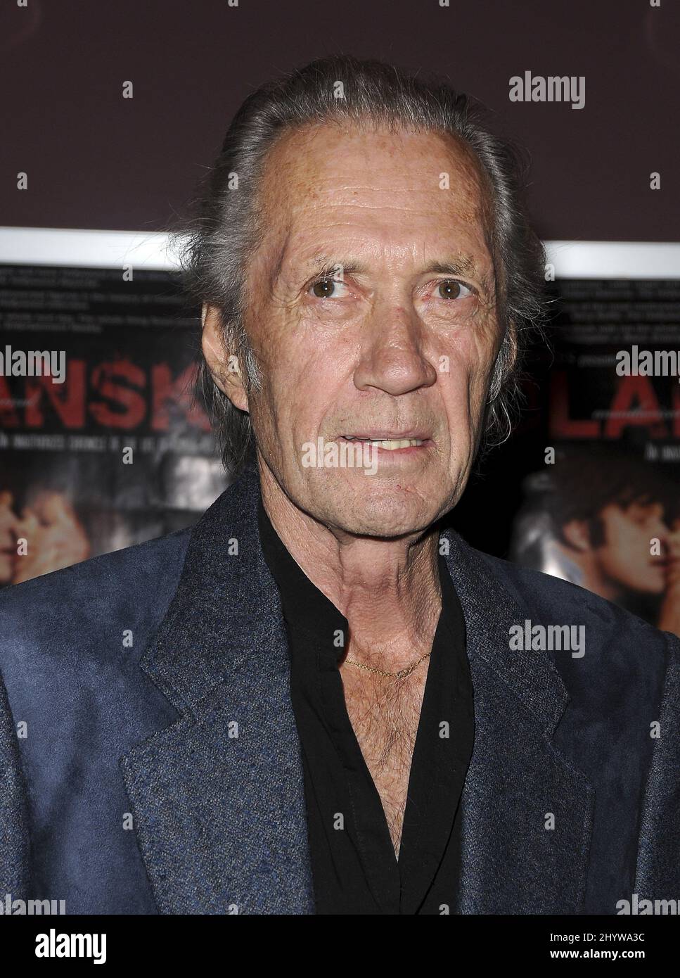 10. Februar 2009 West Hollywood, Ca. David Carradine Crips and Bloods: Made in America Los Angeles Premiere in Laemelles Sunset Five Stockfoto