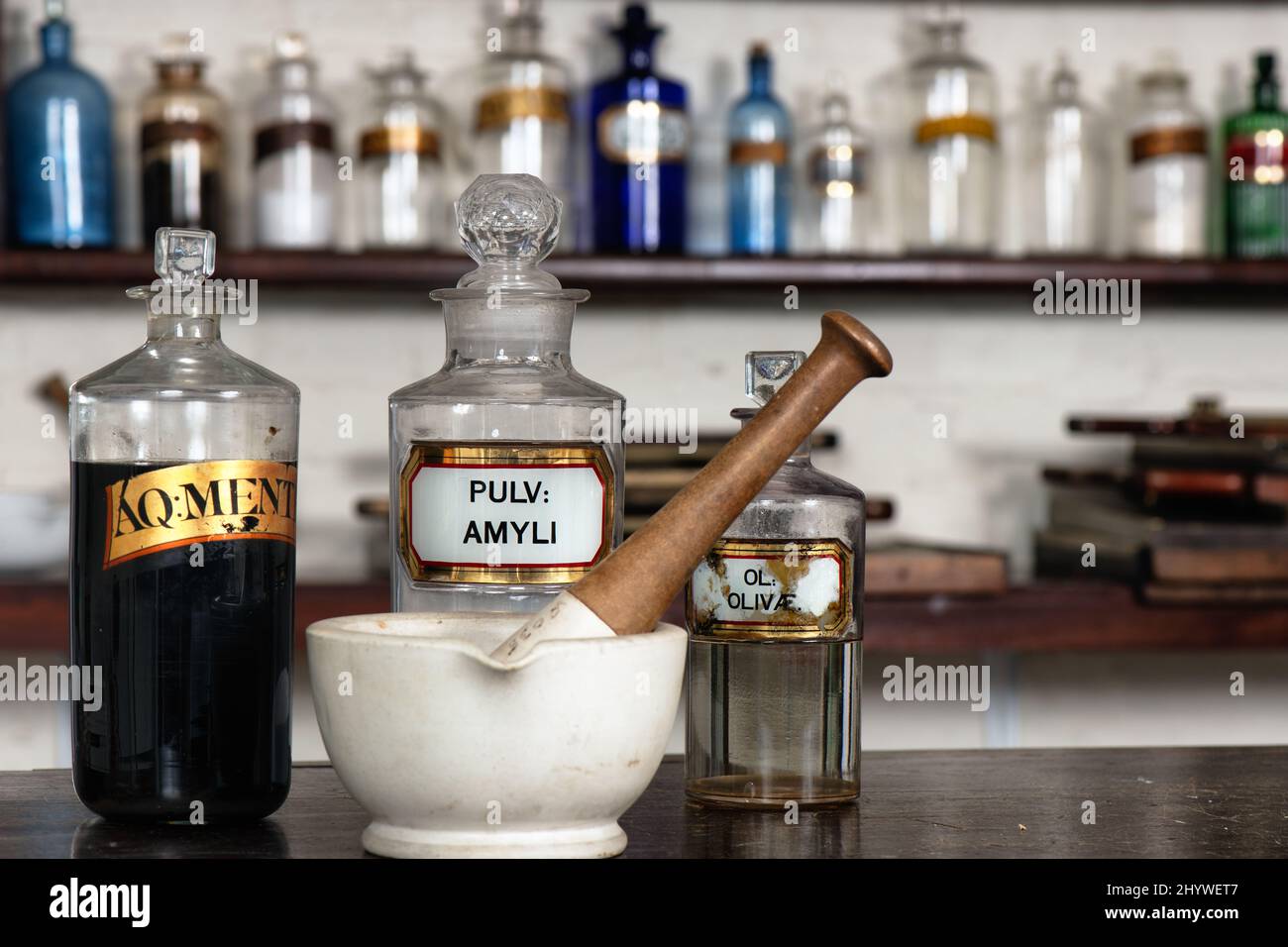 Reihen von Glasflaschen hinter einer Rührschüssel und Stößel in einer viktorianischen Apotheke, Teil der Holly Lodge Center Wohltätigkeitsorganisation im Richmond Park, Surrey Stockfoto