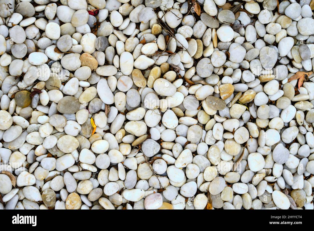 Rollsteine im trockenen Flussbett Stockfoto