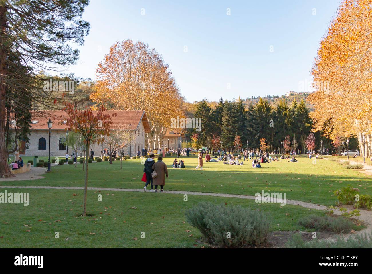 Ein wunderschöner grüner Park. Menschen laufen zwischen verschiedenen bunten Bäumen. Stockfoto