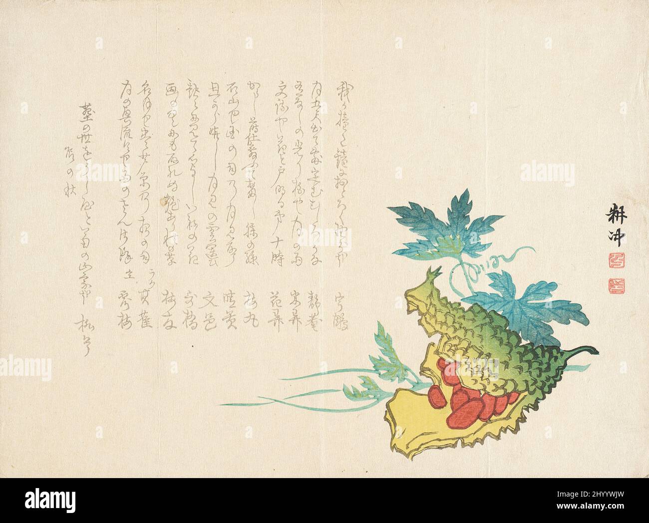 Squash-Rebe. Ueda Kōchū (Japan, 1819-1911). Japan, 19.. Jahrhundert. Drucke; Holzschnitte. Farbholzschnitt Stockfoto