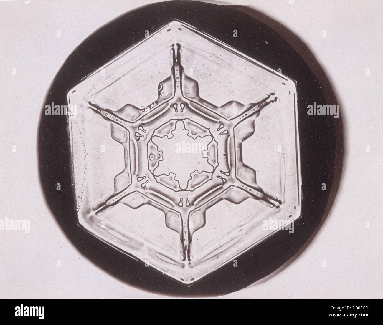 Ohne Titel. Wilson Alwyn Bentley (Usa, 1865-1931). USA, um 1920. Fotos. Gelatine-Silber-Druck Stockfoto