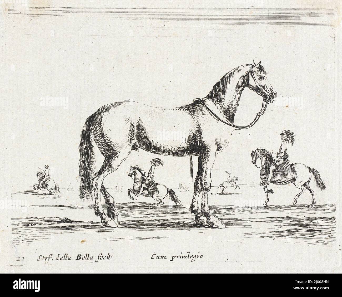 Ein Pferd. Stefano della Bella (Italien, Florenz, 1610-1664). Italien, 1641. Drucke; Radierungen. Ätzen Stockfoto