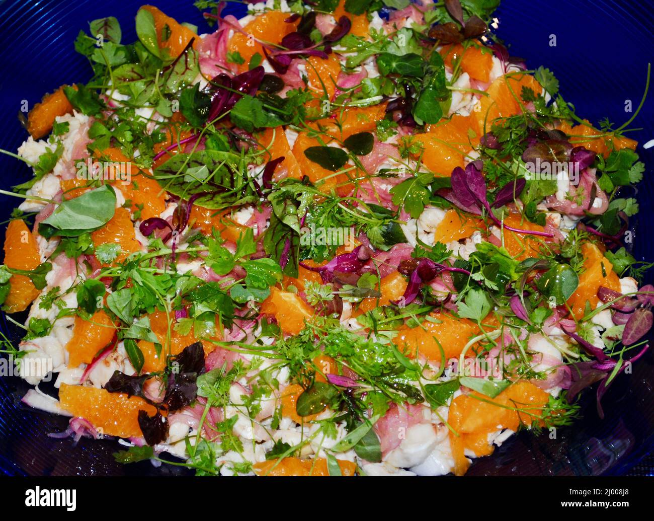 Farbenfroher Salat mit Traubenfrüchten und geräuchertem Lachs Stockfoto