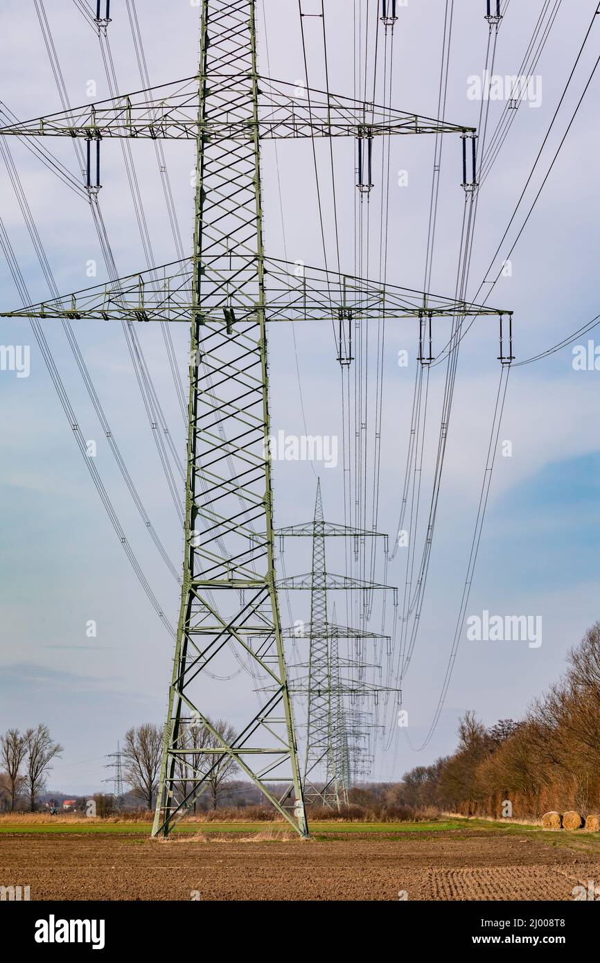 Eine Reihe von Hochspannungsmasten in einer Reihe auf einem Feld sorgen für den Transport von Strom Stockfoto