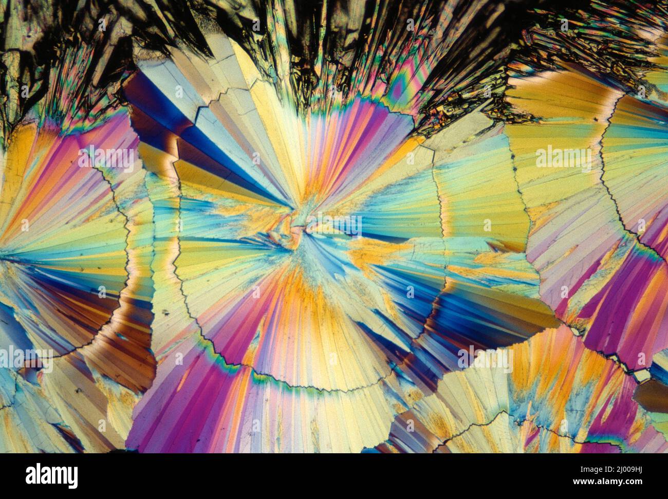 Stillleben. Chemisch. Mikrokristalle. Zucker. Stockfoto