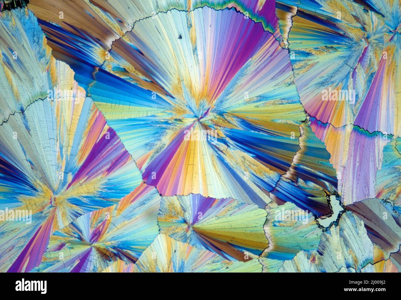 Stillleben. Mikroskopische Aufnahme von chemischen Kristallen. Zucker. Stockfoto