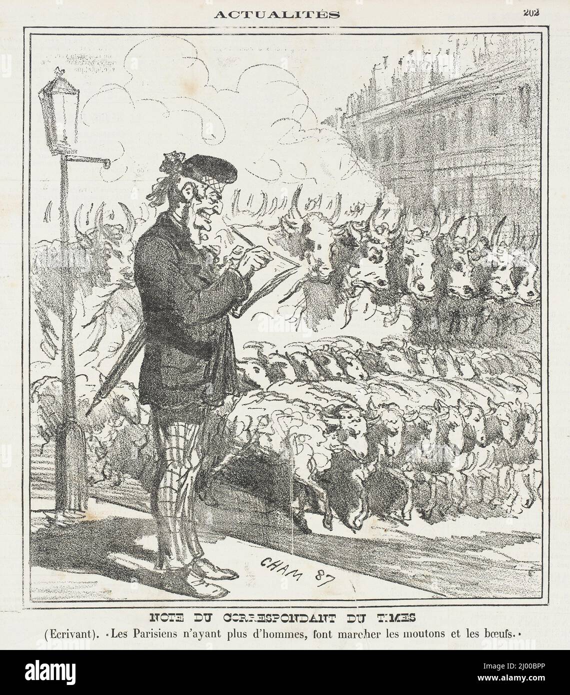 Note du correspondant du Times -(Ecrivant) Les parisiens n'ayant plus d'hommes, font marcher les moutons et les boeufs!. Cham (Graf Amédée-Charles-Henry de Noé) (Frankreich, Paris, 1819-1879). Frankreich, 1870. Drucke; Lithographien. Lithographie Stockfoto