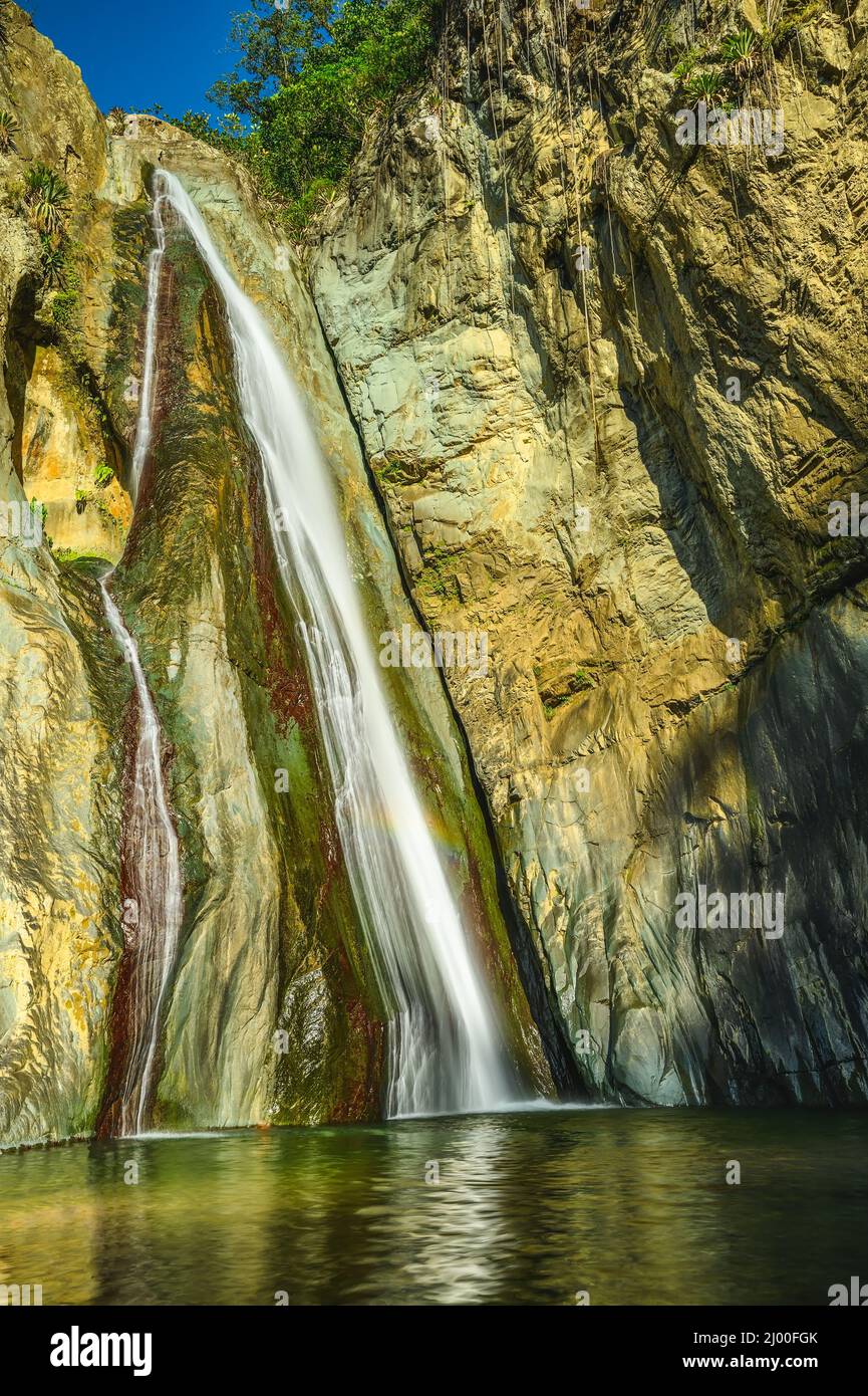 Berglauf zwischen riesigen Felsen in weald. Bergrill im Morast mit tropischen Pflanzen und frischen Kräutern. Wildtiere in exotischem wildholz mit Fluss ston Stockfoto