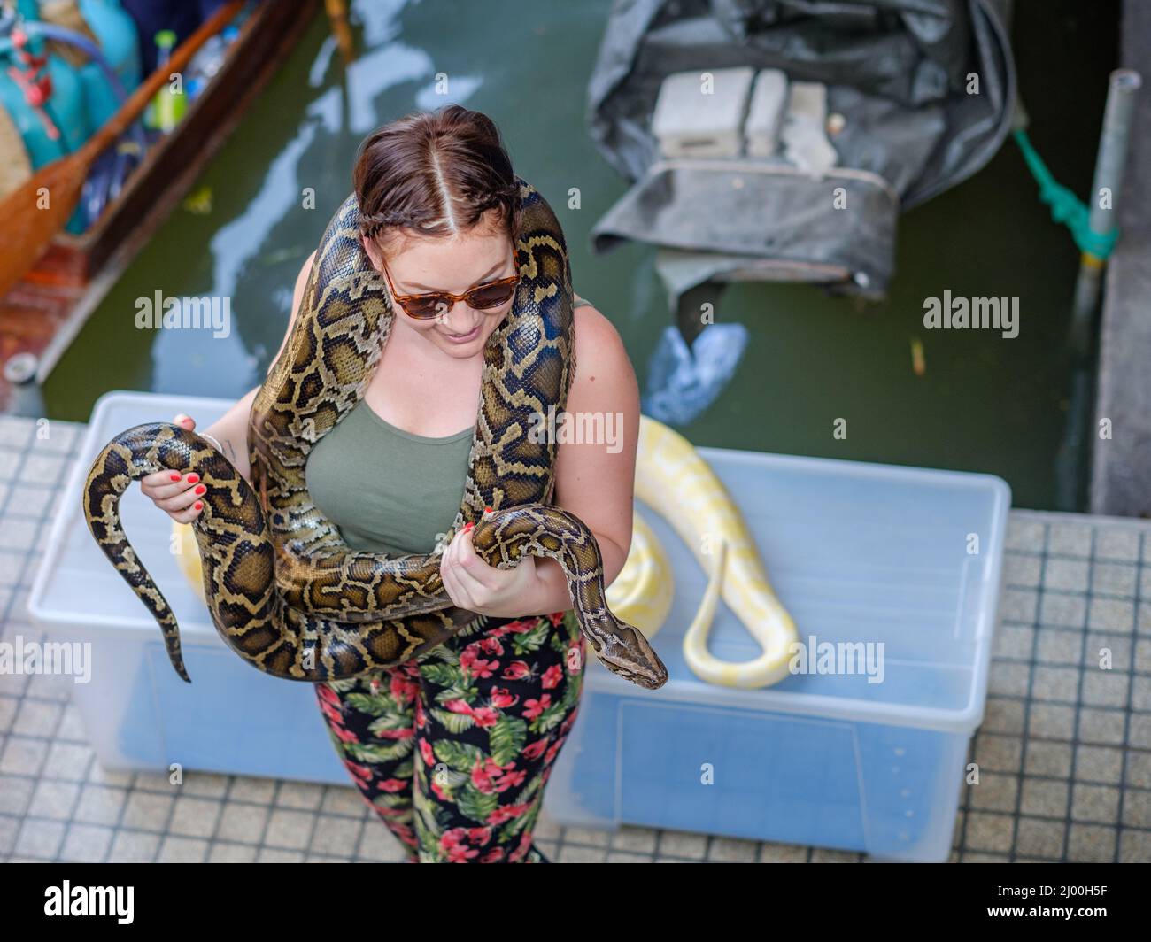 Begegnung mit Python-Schlangen auf dem schwimmenden Markt von Damnoen Saduak. Stockfoto