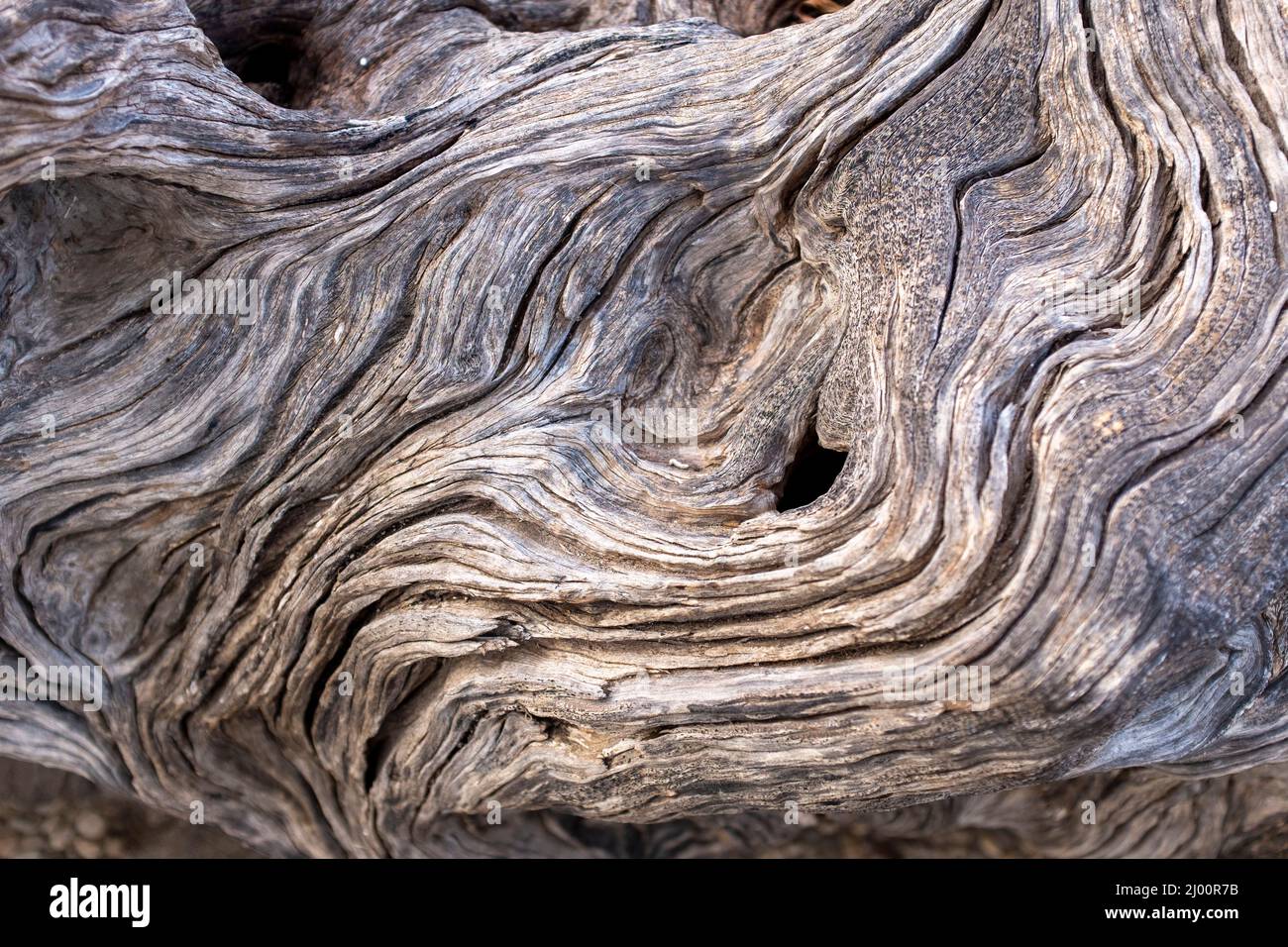 Knarrierte Holzdetails Stockfoto