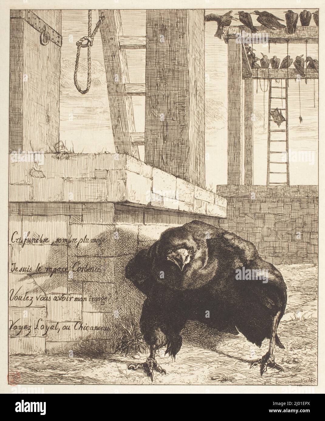 Der Rabe. Félix Bracquemond (Frankreich, 1833-1914). Frankreich, 1854. Drucke; Radierungen. Ätzen Stockfoto