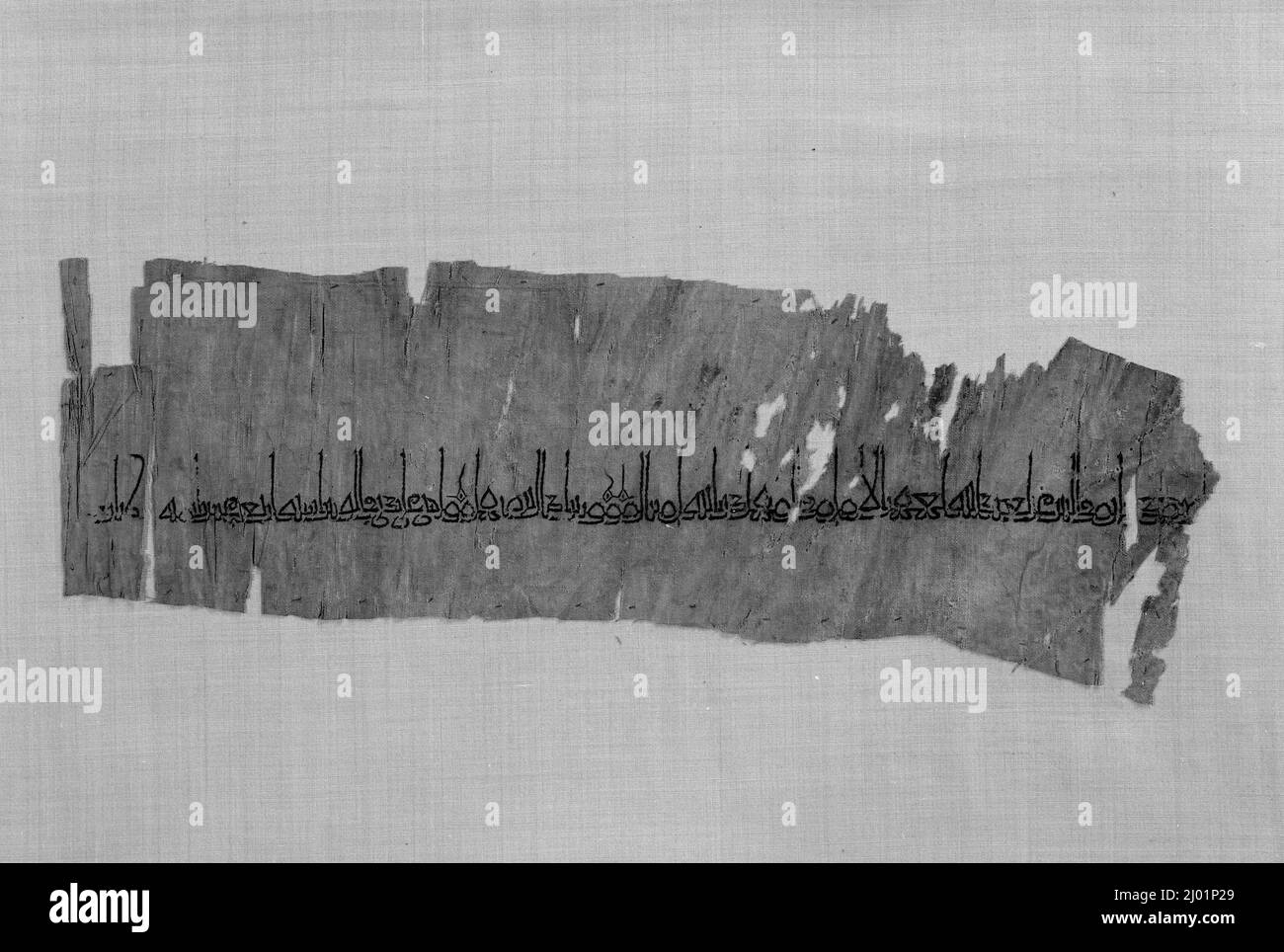 Fragment Für Beschriftete Textilien (Tiraz). Irak, islamisch, 926-927/314 A.H.. Textilien; Tiraz. Seidenstickerei mit Kettenstich auf unifarbener Baumwolle Stockfoto
