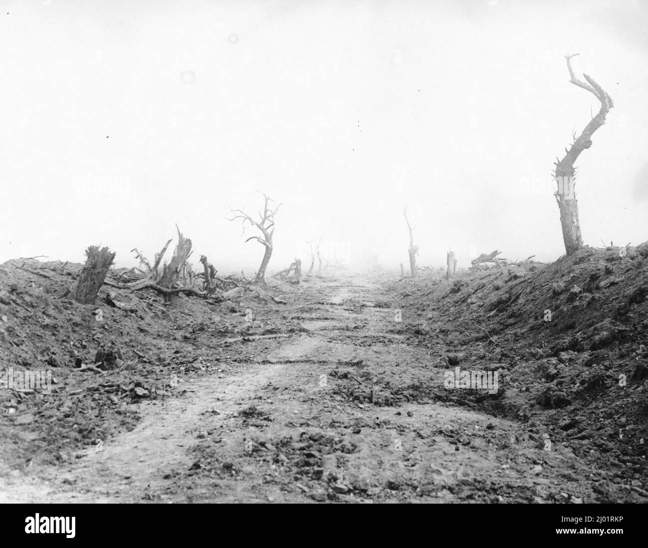 Die Hauptstraße nach Guillemont während der Schlacht an der Somme, die die völlig verwüstete Landschaft und Baumstümpfe zeigt Stockfoto