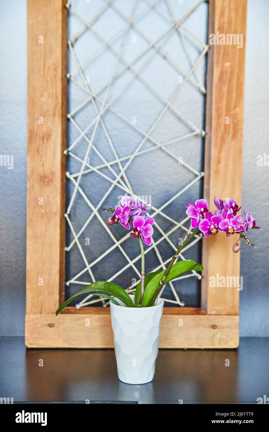 Rosafarbene Orchideen mit einem Kunstwerk aus Holz und Garn dahinter Stockfoto
