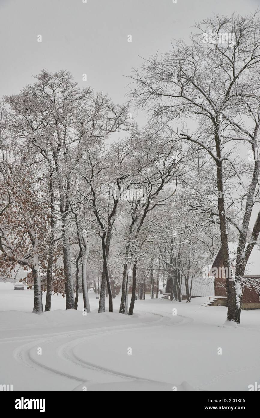 Schneebedeckte Straße mit Bäumen im Winter Stockfoto