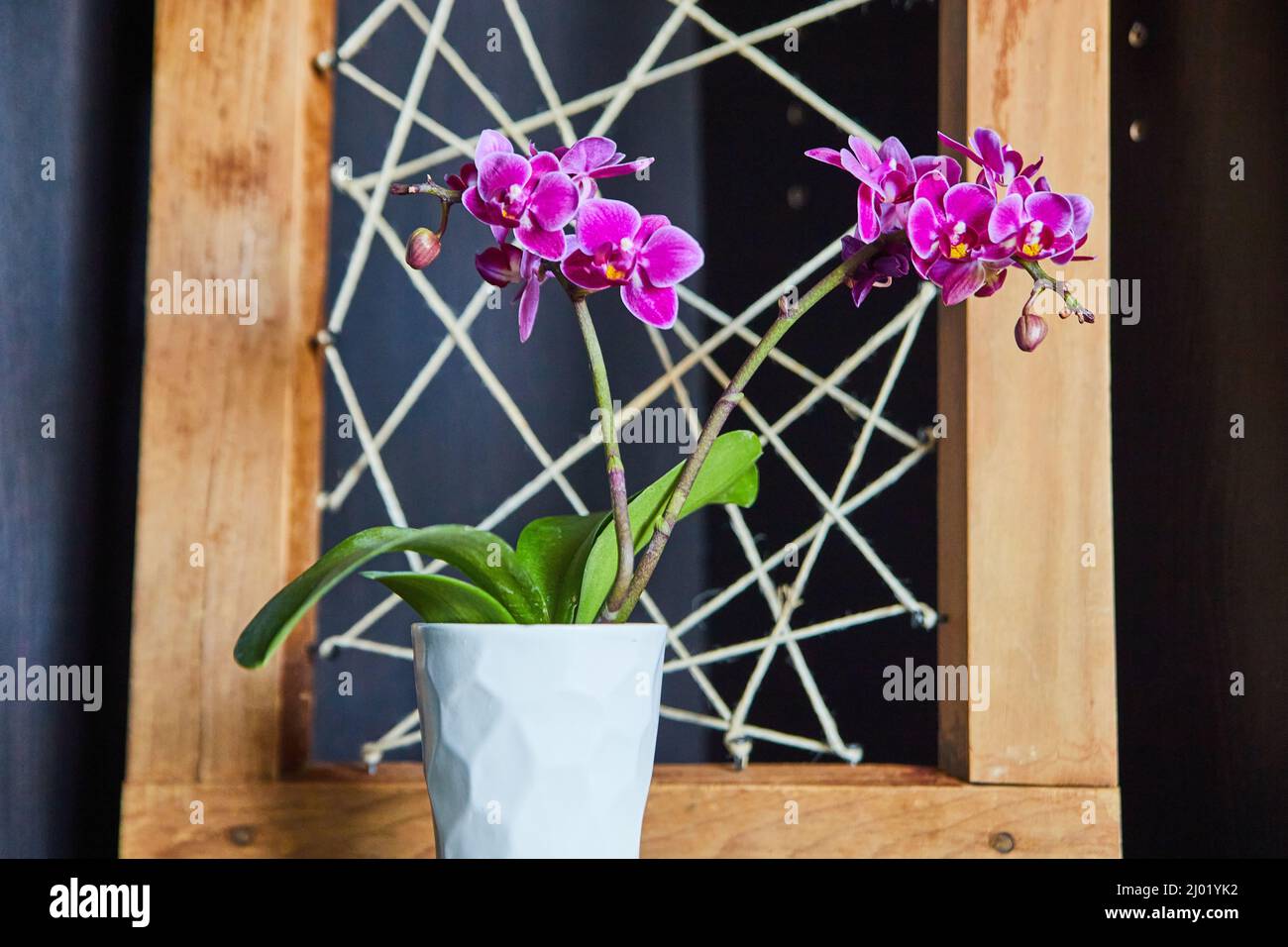 Nahaufnahme von rosa Orchideenblumen mit Holz- und Garnkunst Stockfoto