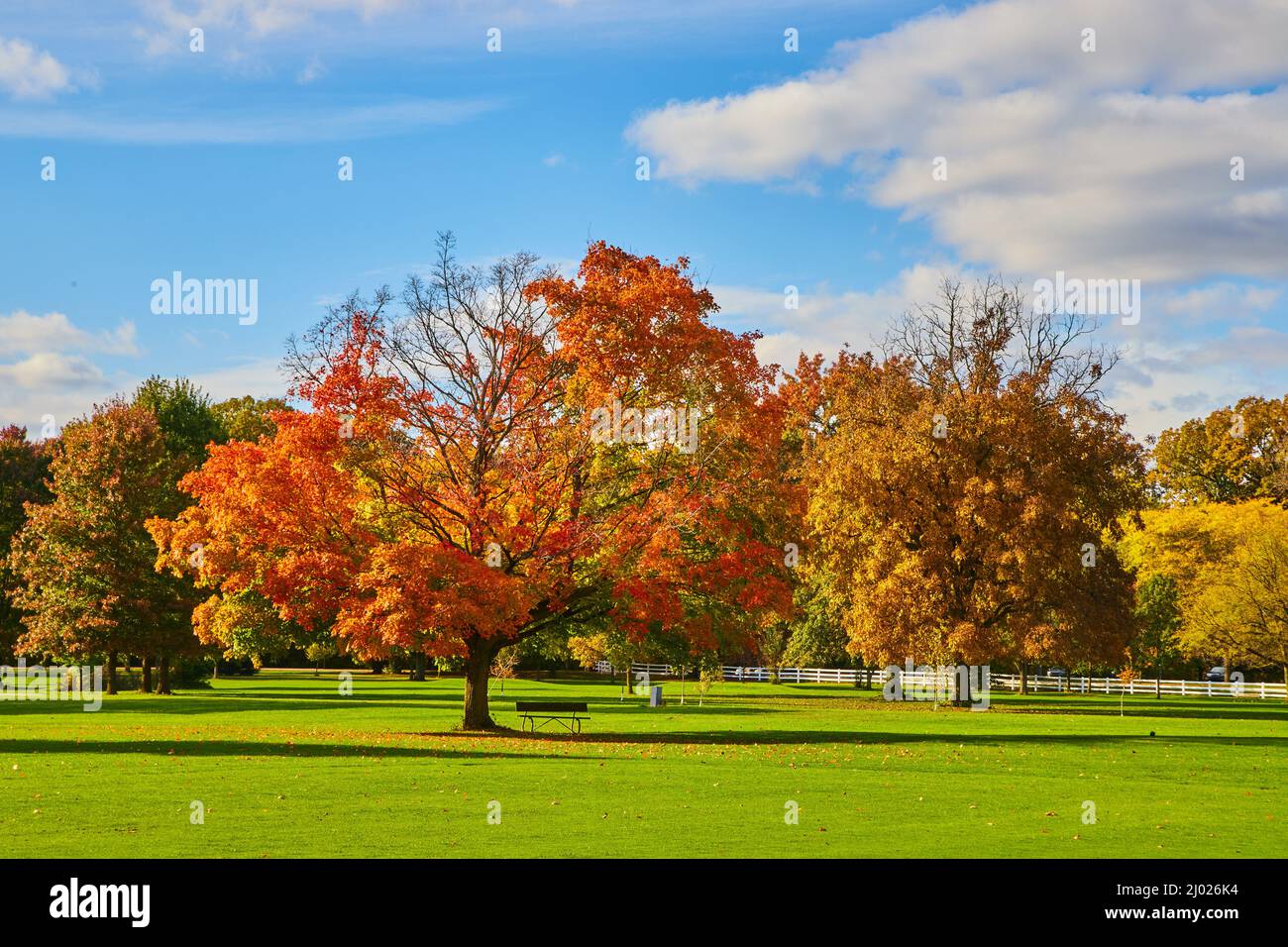 Landschaft von Herbstbäumen auf Gold Course Stockfoto