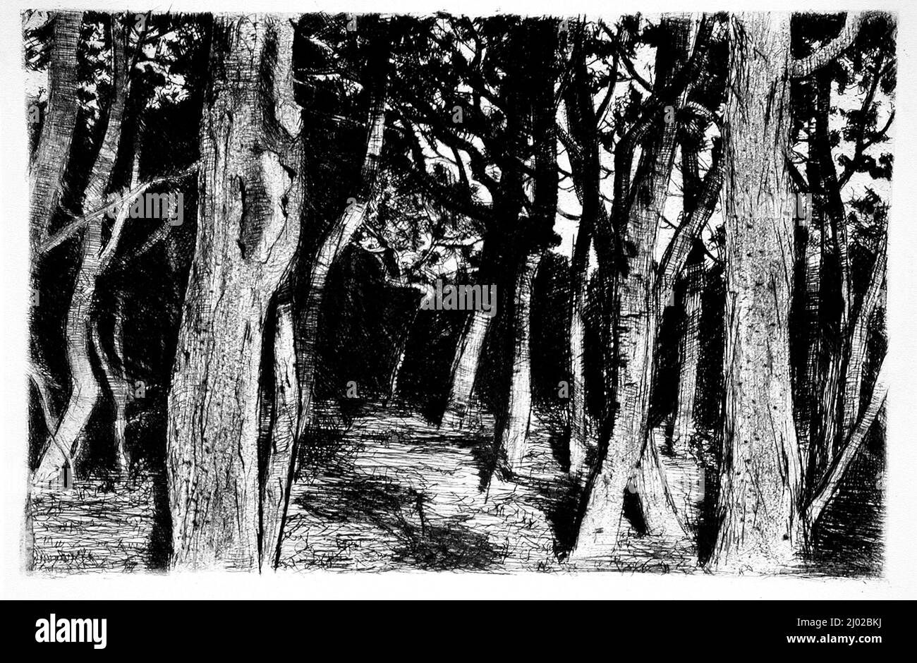 Pan 2, Nr. 1-2 (1896). Max Liebermann (Deutschland, Berlin, 1847-1935)Franz Skarbina (Deutschland, Berlin, 1849-1910)Charles Maurin (Frankreich, Le Puy, 1856-1914)Otto Fischer (Deutschland, 1870-1947)Max Ernst Pietschmann (Deutschland, Dresden, geboren 1865)Georg Lührig (Deutschland, Göttingen, 1868-1957)Karl Mediz (Österreich, Wien, 1868-1945)Otto Greiner (Deutschland, Leipzig, 1869-1916)Max Klinger (Deutschland, Leipzig, 1857-1920)Anders Leonard Zorn (Schweden, Mora, 1860-1920)Walter Leistikow (Deutschland, Bromberg, 1865-1908). Deutschland, Berlin, 1896. Zeitschriften. Gedrucktes Material mit sechs Lithographien, fünf Radierungen und einem Drypoin Stockfoto