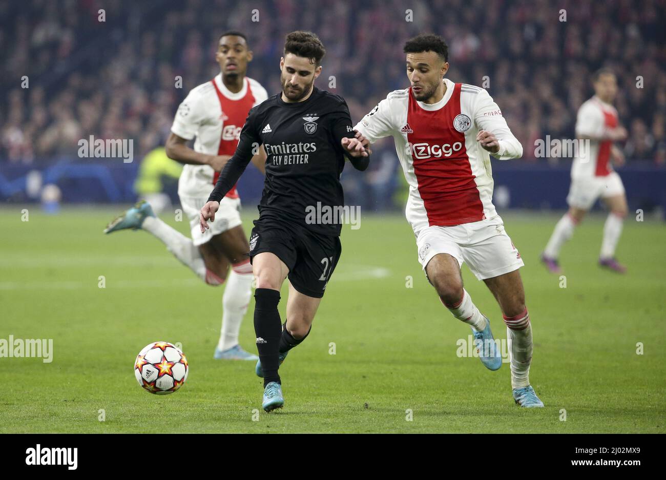 Amsterdam, Niederlande - 15. März 2022, Rafa Silva aus Benfica, Noussair Mazraoui aus Ajax während der UEFA Champions League, Runde von 16, 2.-Bein-Fußballspiel zwischen AFC AJAX Amsterdam und SL Benfica Lissabon am 15. März 2022 in der Johan Cruijff Arena in Amsterdam, Niederlande - Foto: Jean Catuffe/DPPI/LiveMedia Stockfoto