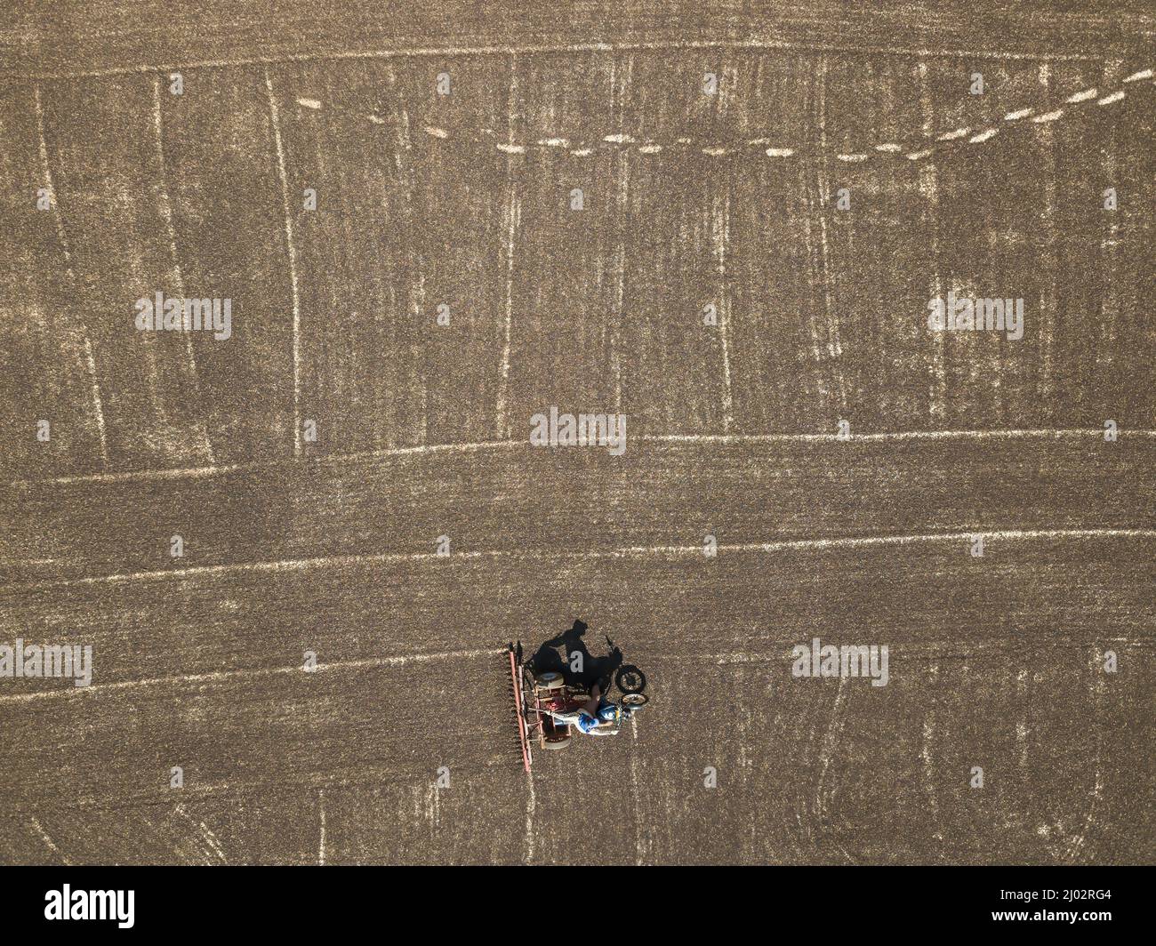 Mechanisierte Kaffeetrocknung, Brasilien Stockfoto
