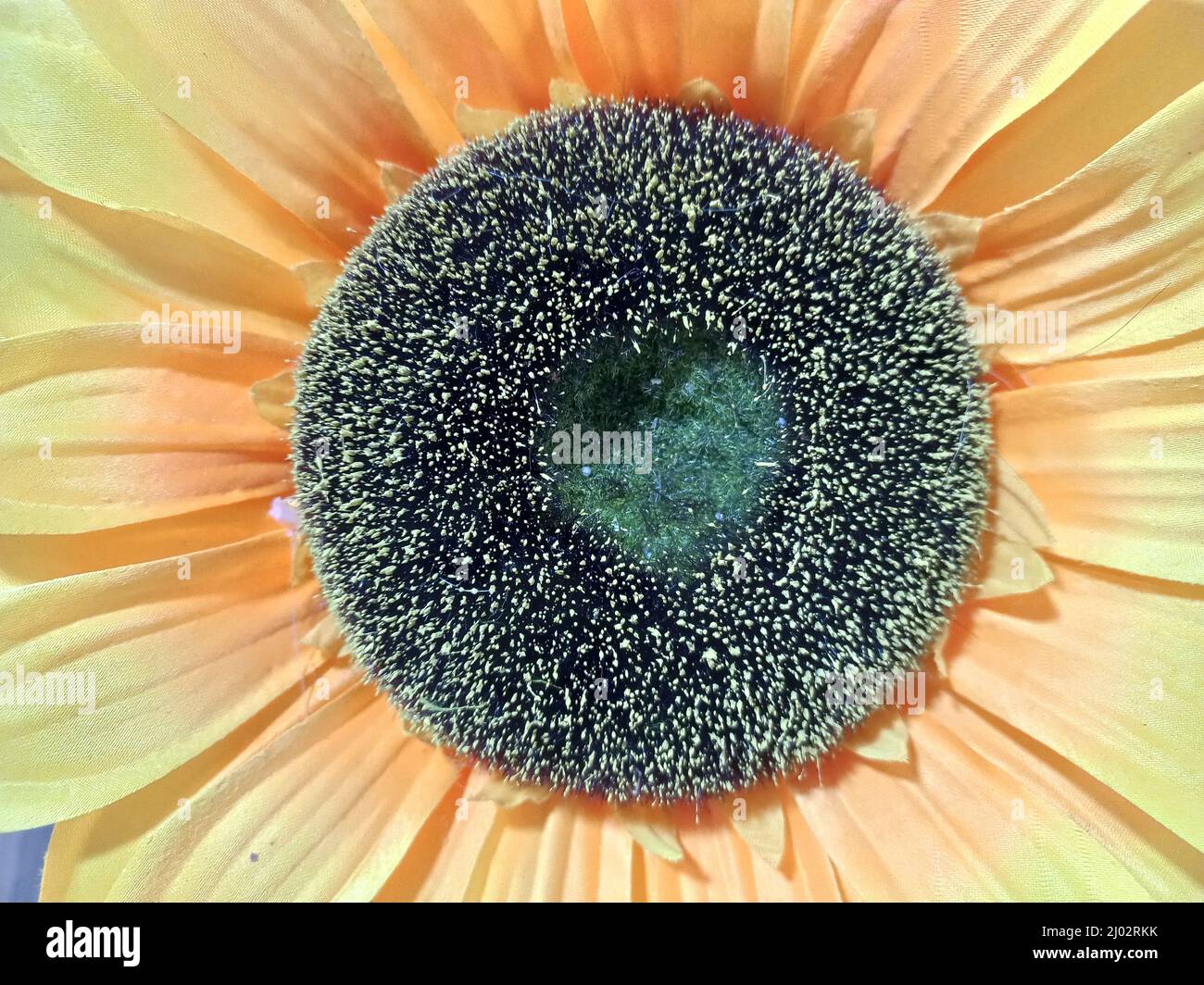 Knstliche natur -Fotos und -Bildmaterial in hoher Auflsung  Alamy