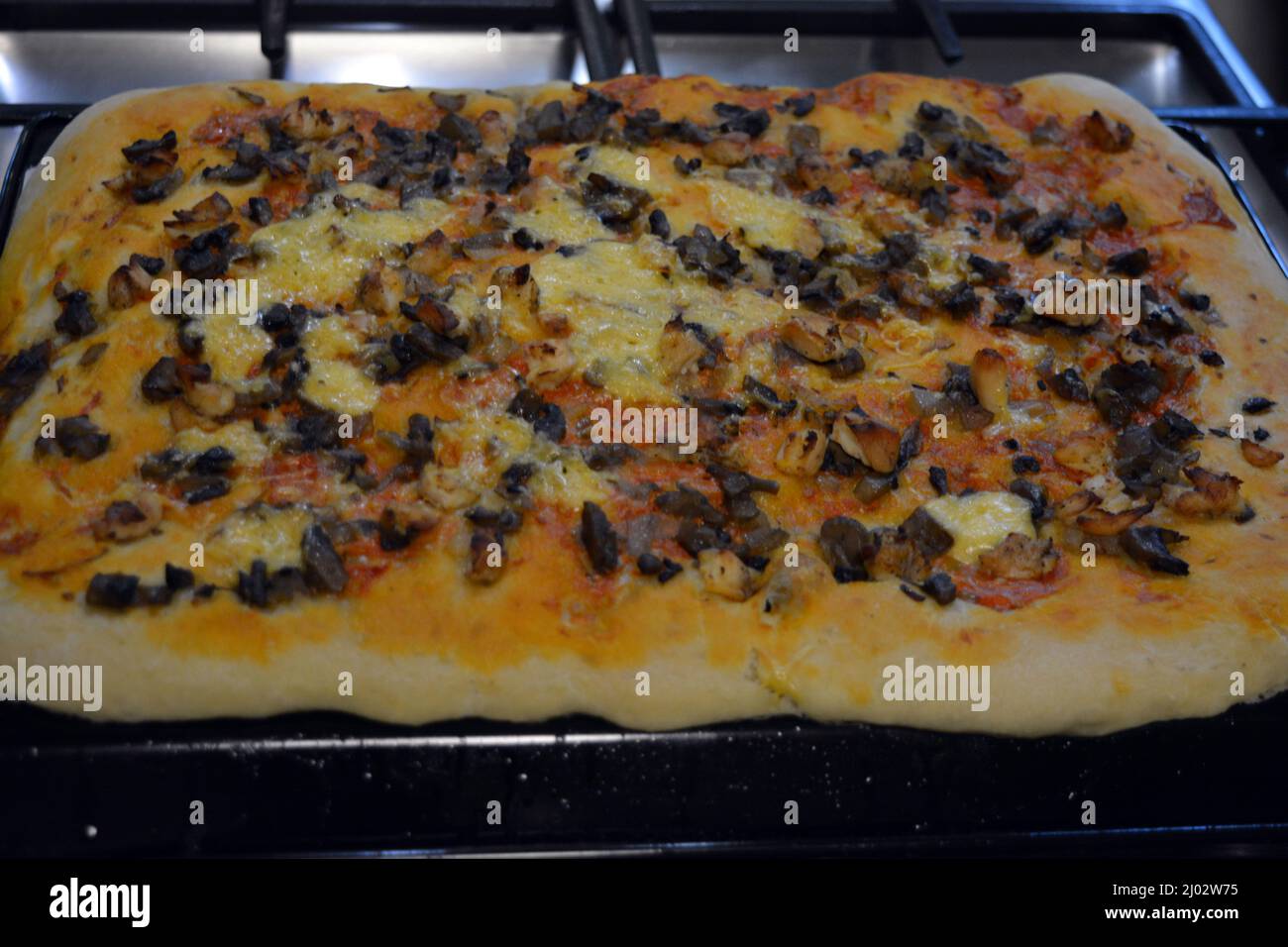 Küche, kochen köstliche Mahlzeiten. Eine große hausgemachte Pizza mit Fleisch, Pilzen, Ananas und Käse auf einem großen Blechblech. Stockfoto