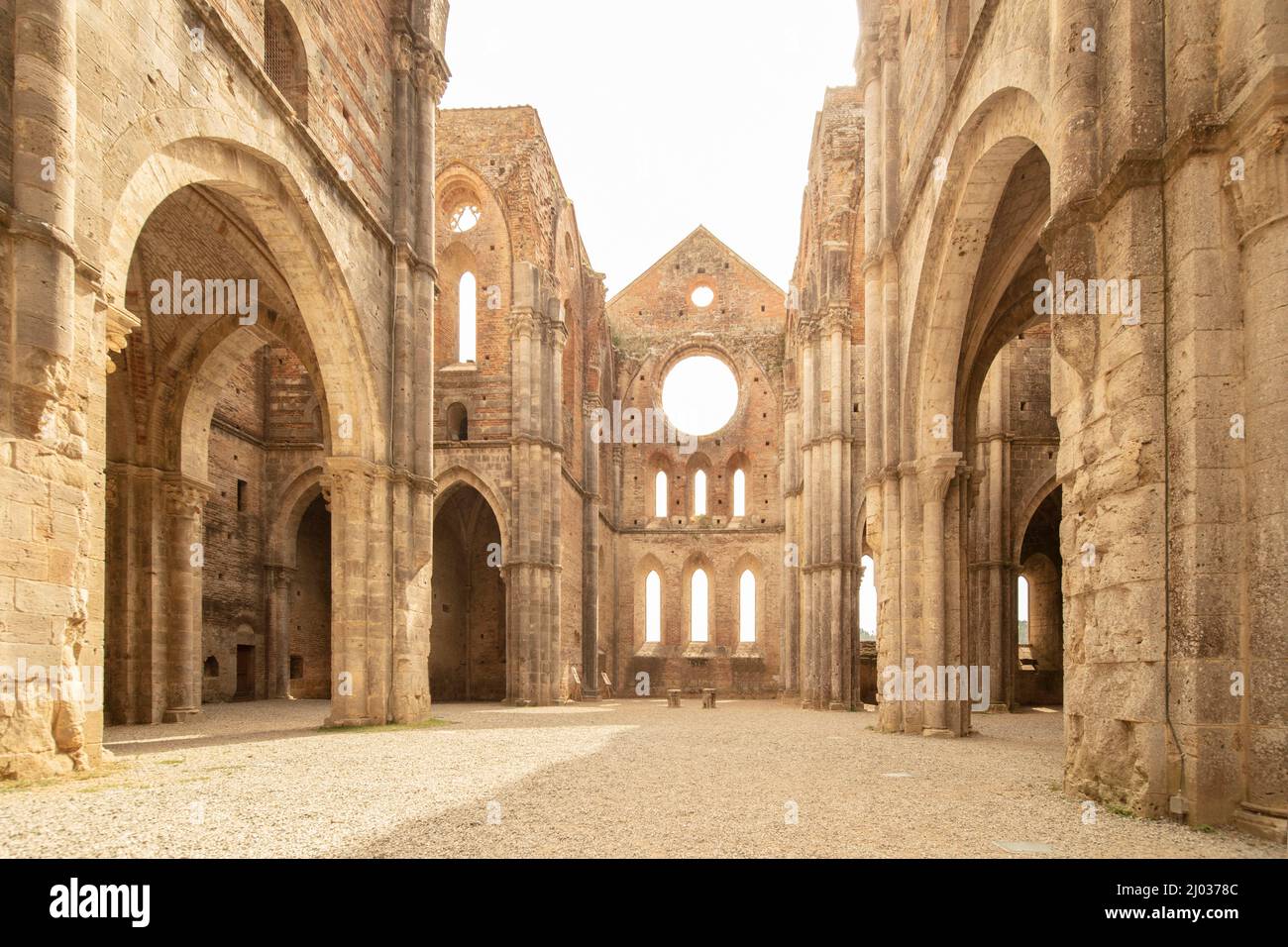 Abtei von San Galgano, Chiusdino, Siena, Toskana, Italien, Europa Stockfoto
