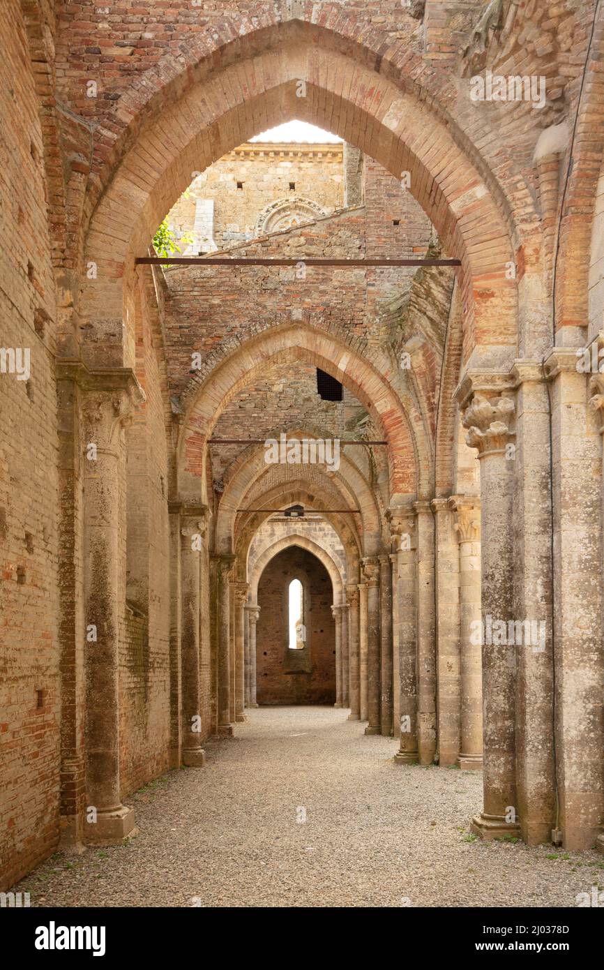Abtei von San Galgano, Chiusdino, Siena, Toskana, Italien, Europa Stockfoto