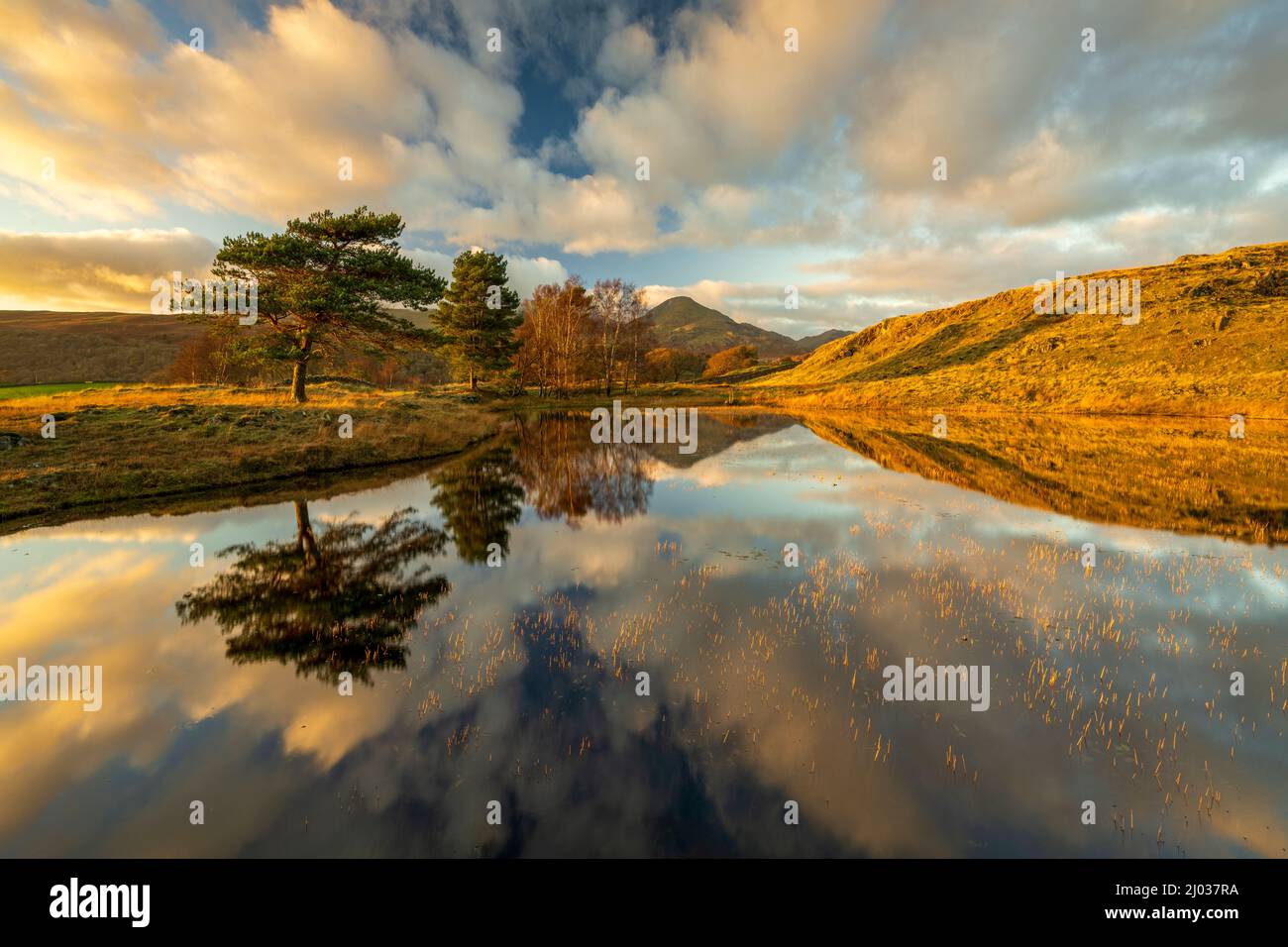 Kelly Hall Tarn und der Coniston Old man, Lake District National Park, UNESCO-Weltkulturerbe, Cumbria, England, Vereinigtes Königreich, Europa Stockfoto