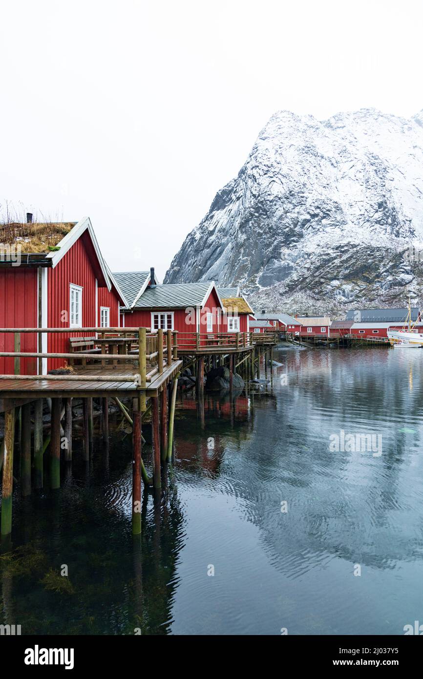 Red Rorbu Hütten mit Grasdach im kleinen Hafen reine, Nordland County, Lofoten Islands, Norwegen, Skandinavien, Europa Stockfoto
