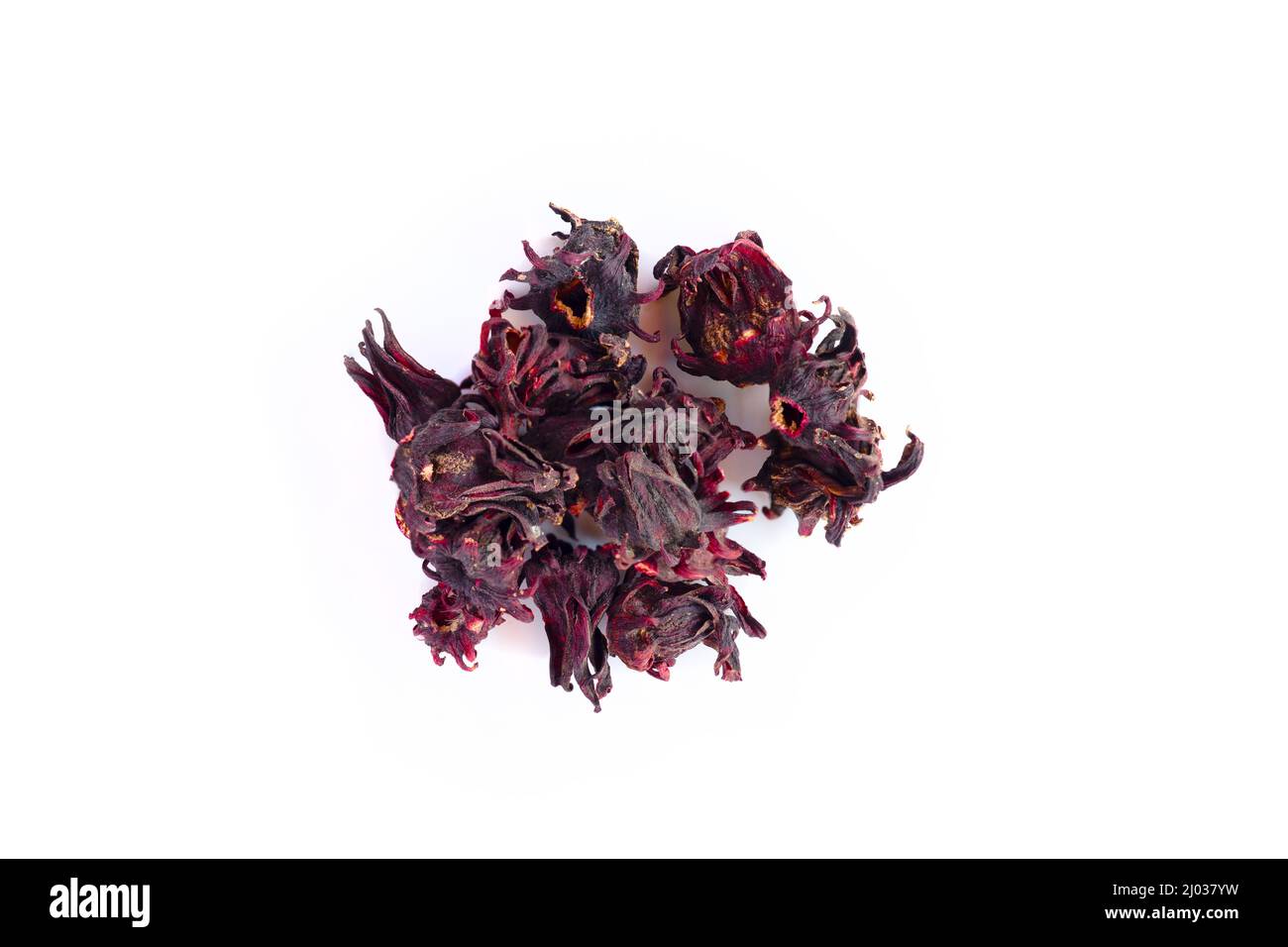 Roselle Blume trocken für Kräutertee isoliert auf weißem Hintergrund Stockfoto
