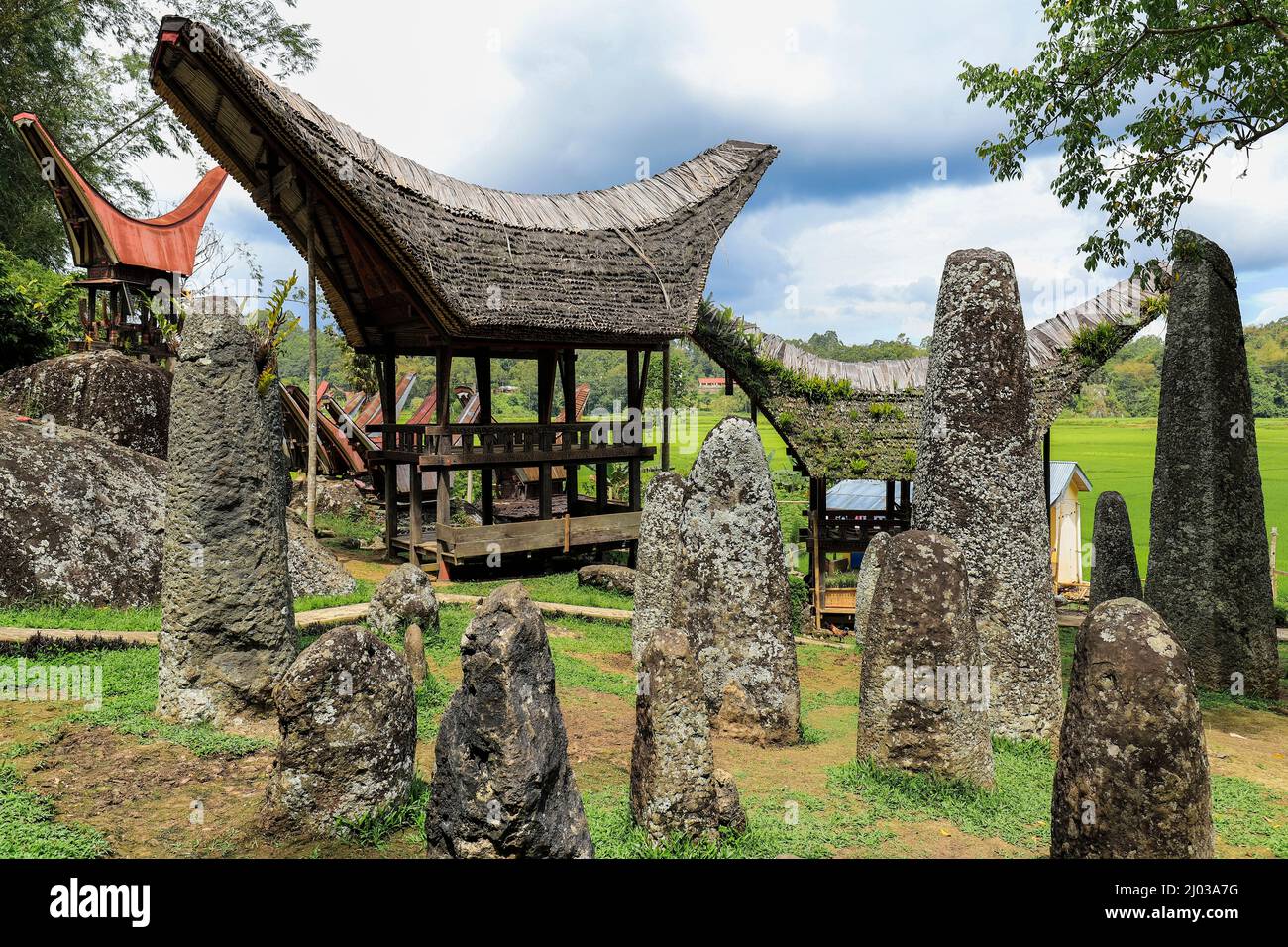 Megalithische Grabstätte von Bori Kalimbuang mit 102 Menhiren in der Nähe von Rantepao, Bori, Rantepao, Toraja, Sulawesi, Indonesien, Südostasien, Asien Stockfoto