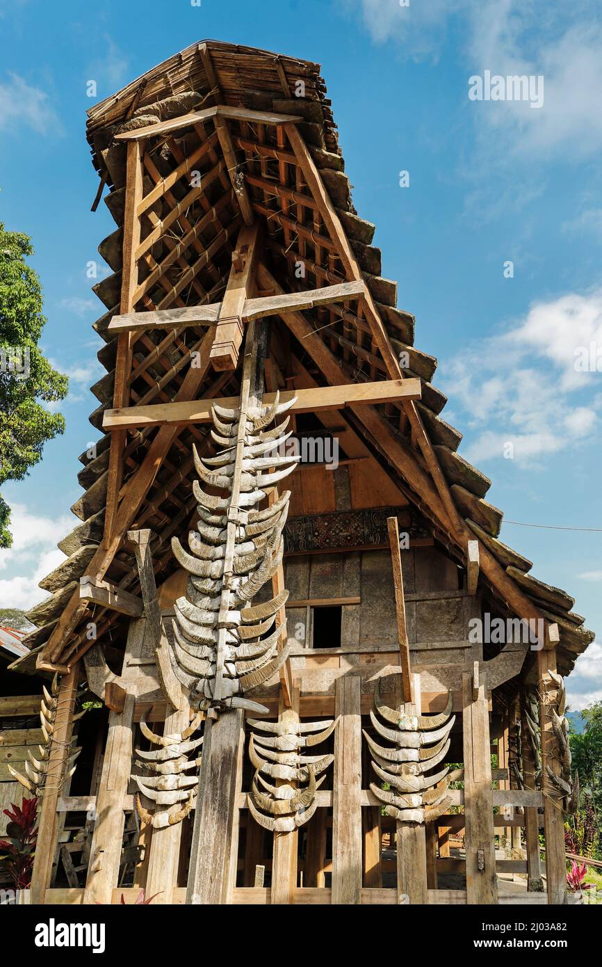 Der 700 Jahre alte Papa Batu, das einzige steinerne Tongkonan-Haus in Toraja, südwestlich von Rantepao, Tummake, Toraja, Süd-Sulawesi, Indonesien Stockfoto