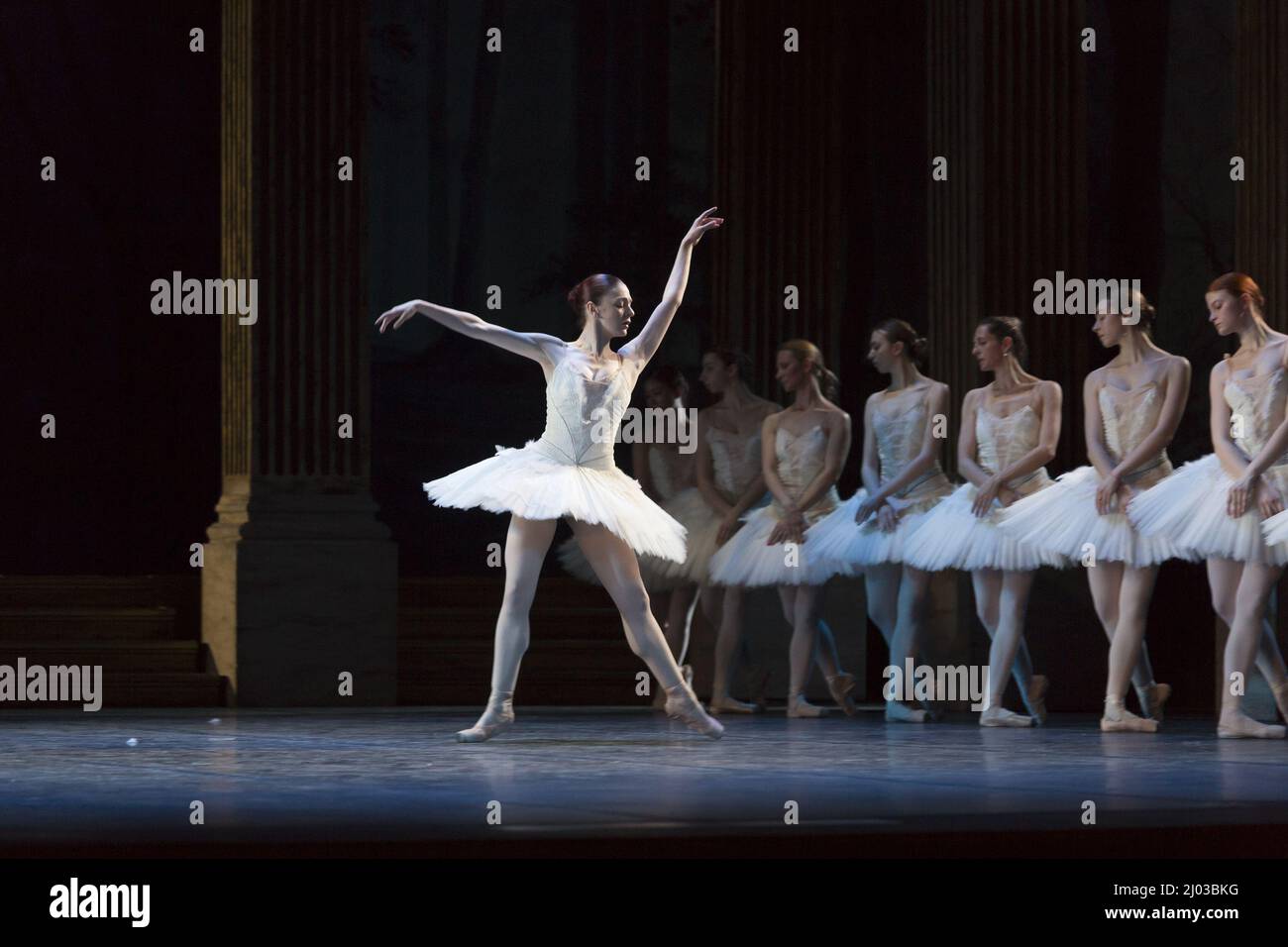 Ballet Swan's Lake Performance Stockfoto