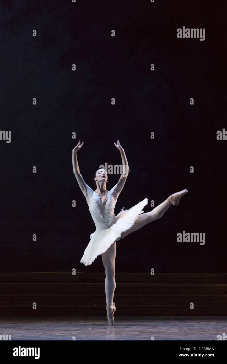 Ballet Swan's Lake Performance Stockfoto