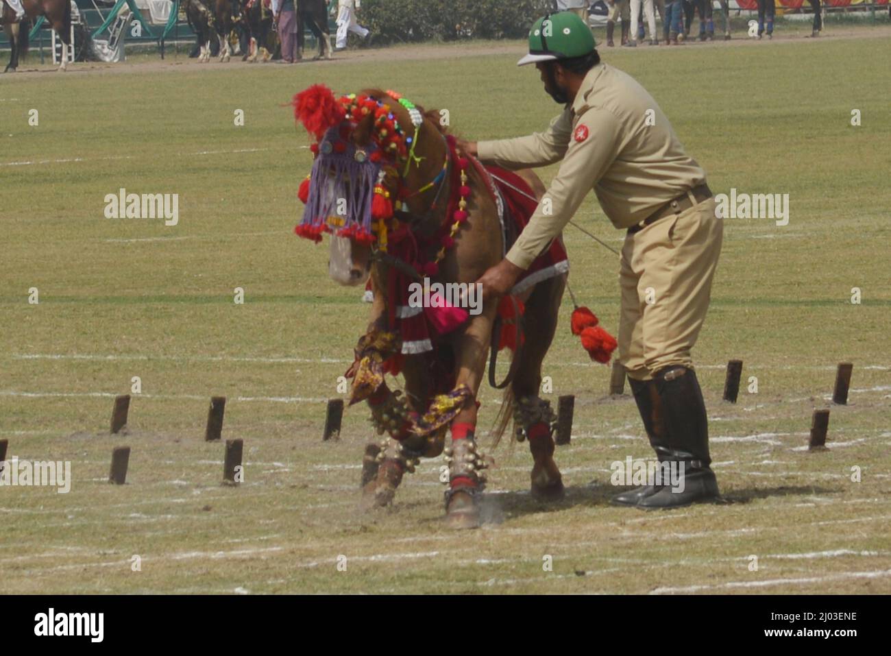 Lahore, Punjab, Pakistan. 12. März 2022. Pakistanische Teilnehmer nehmen an der National Horse and Cattle Show im Fortress Stadium Teil, die von der Regierung Punjab in Lahore organisiert wird. (Bild: © Rana Sajid Hussain/Pacific Press via ZUMA Press Wire) Stockfoto