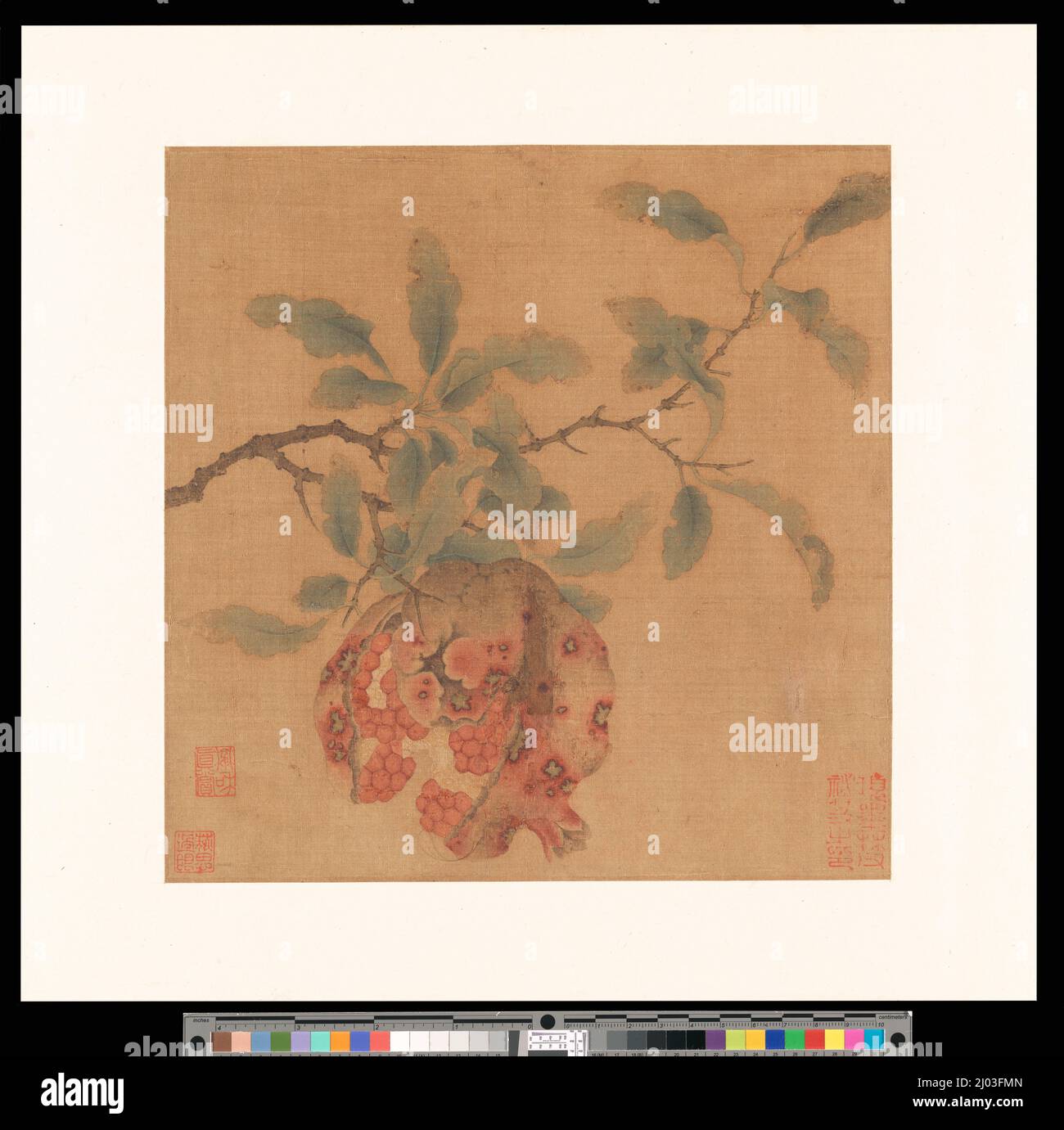 Granatapfel. China, südliche Song-Dynastie. Gemälde. Albumblatt, Tinte und Farbe auf Seide Stockfoto
