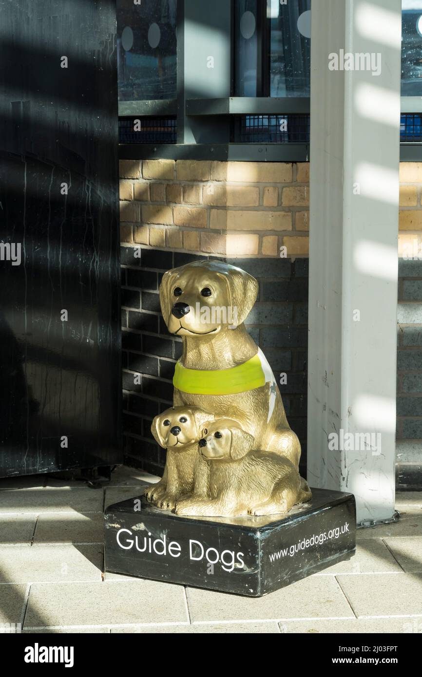Blindenhunde Organisation Sammelbox im zentralen Busbahnhof Stockfoto