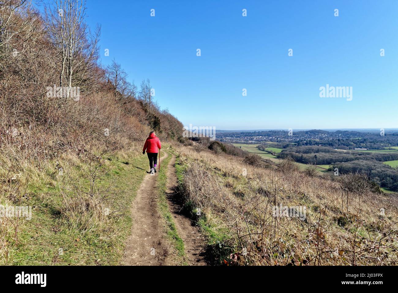 Eine reife Frau in einer roten Jacke, die an einem sonnigen Wintertag auf dem North Downs Way im Ranmore Common Dorking Surrey England unterwegs ist Stockfoto