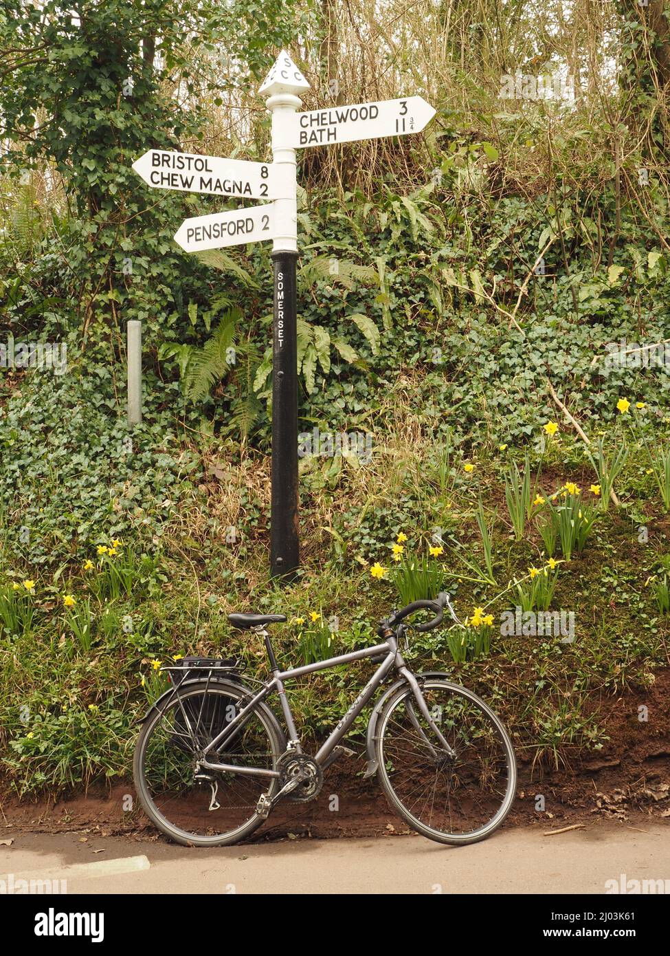 Traditionelles Straßenschild in Stanton Drew, Somerset, da frühe Narzissen die Ankunft des Frühlings ankündigen. Stockfoto