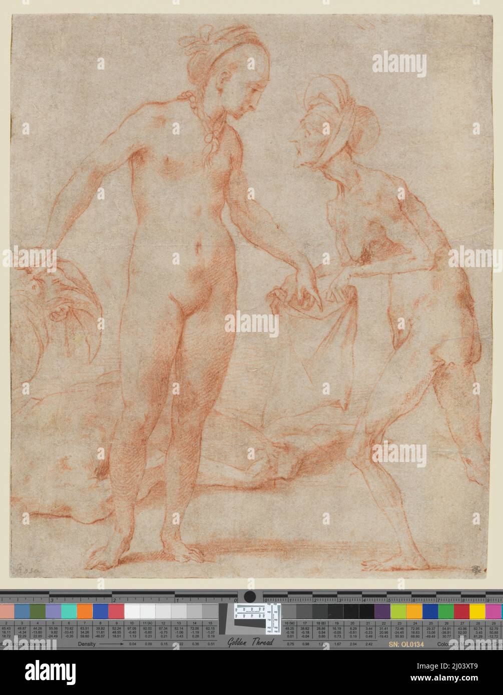 Judith mit dem Leiter von Holofernes. Rosso Fiorentino Giovanni Battista di Jacopo (Italien, Florenz, 1494-1540). Italien, ca. 1535-1540. Zeichnungen. Rote Kreide auf grauem Büffelpapier Stockfoto